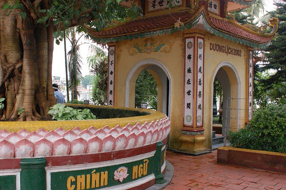 HANOI - Pagoda di Tran Quoc - Corte frontale: a sinistra il robusto fusto dell'albero Bodhi