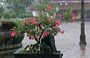 VIETNAM CENTRALE. Città Imperiale di Huè: particolare del cortile su cui si affacciano le Sale dei Mandarini