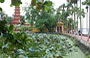 HANOI. Pagoda di Tran Quoc sulle sponde del lago Ho Tay: l'ingresso principale
